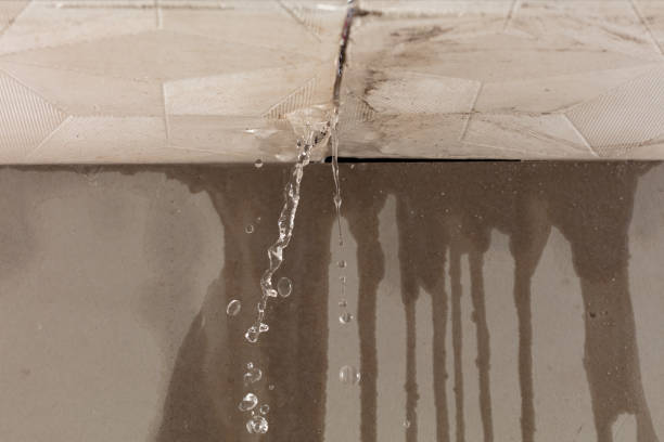 Professional Water Extraction technician working in Collins, MS